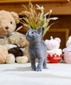 Alternative view of Russian Blue - Mungmung (Female)